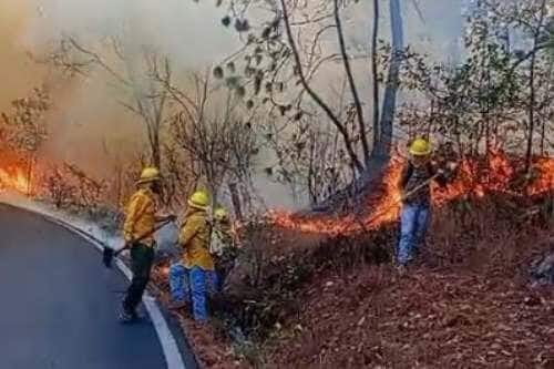 Video: Tejupilco y Luvianos en alerta por incendio forestales; cierran carretera y auxilian a la población